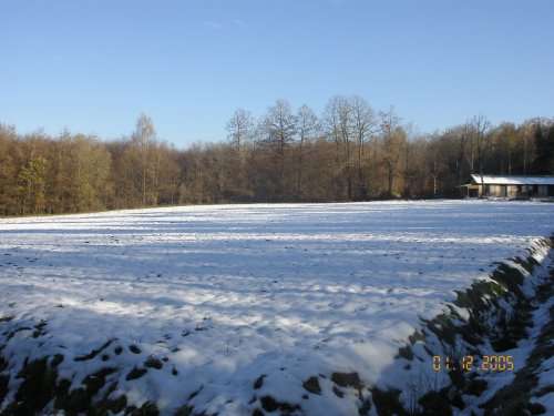 Ancien stade