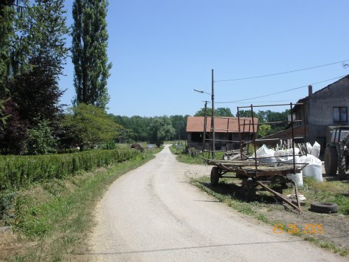 Ferme