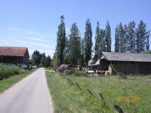 Ferme