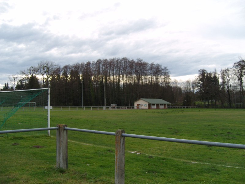 Le stade "réactivé"